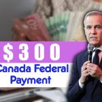 Canada Federal Payment 2025