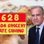 Canada Grocery Rebate Coming