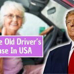 Goodbye Old Driver’s License In USA